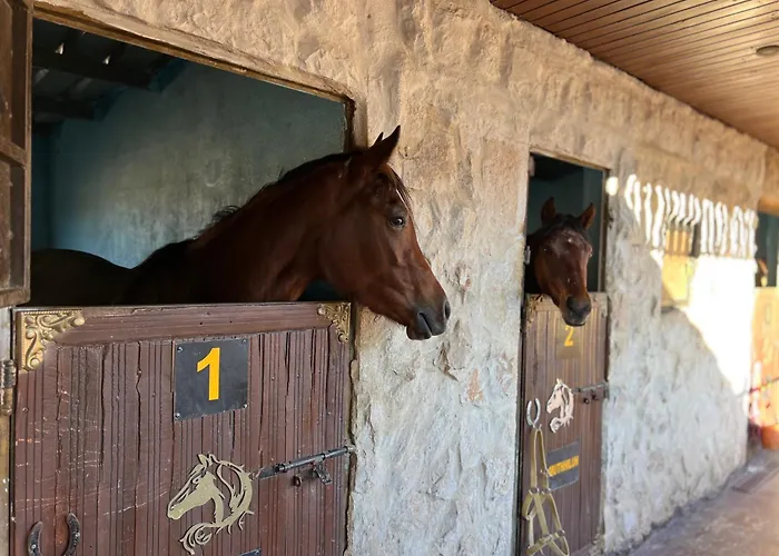 Petra Royal Ranch
