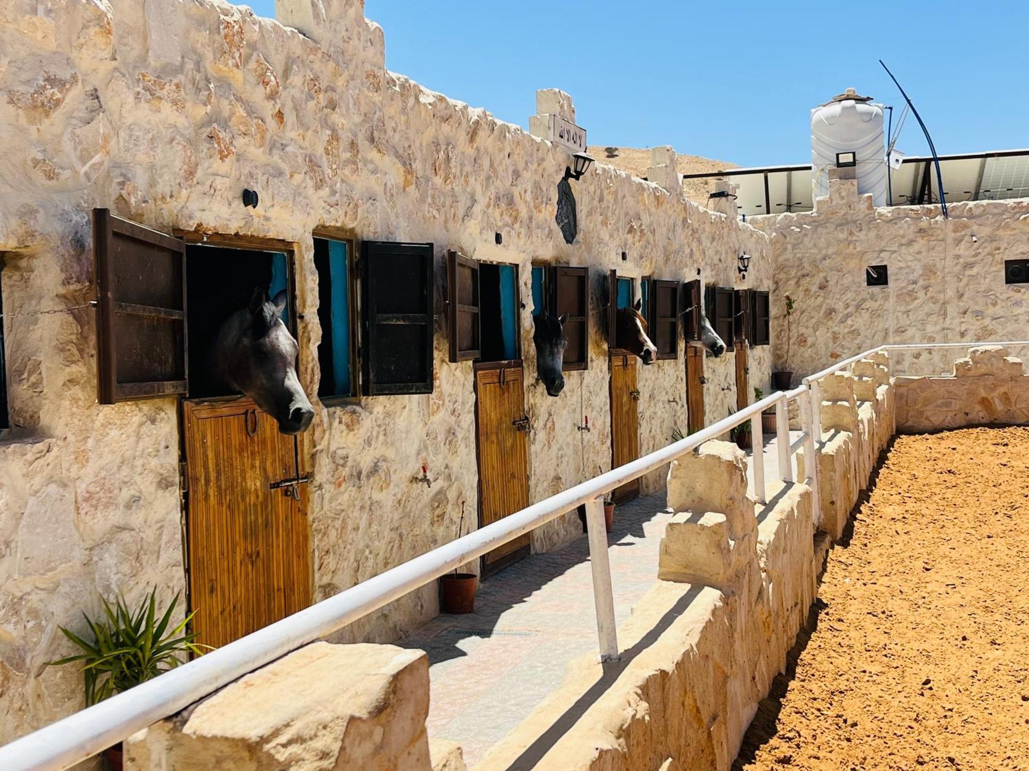 Petra Royal Ranch * Wadi Musa