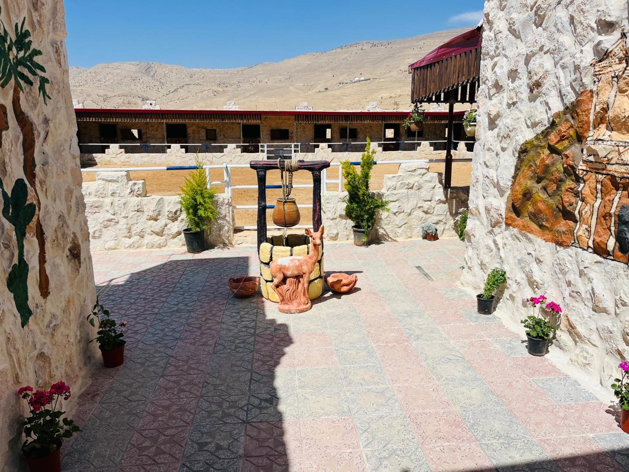 Petra Royal Ranch Bed & Breakfast *